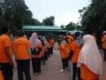 Tn DSC 6161
